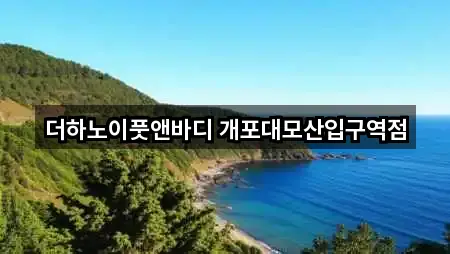 더하노이풋앤바디 개포대모산입구역점