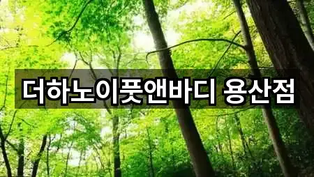 더하노이풋앤바디 용산점