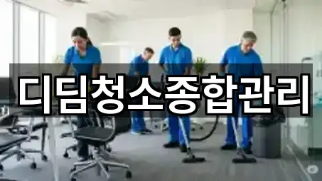 전북특별자치도 신동 청소업체 5곳 오시는 길 모음