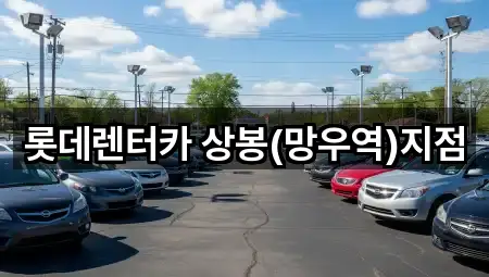 서울특별시 중랑구 상봉동 렌트카 총정리 5곳