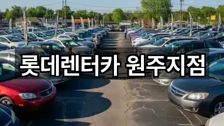 강원특별자치도 무실동 장기렌트카 5곳 요약 정리