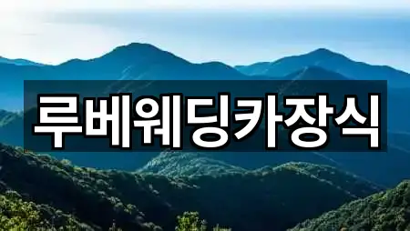 지금 주변의 서울특별시 종로구 행촌동 웨딩카 2곳