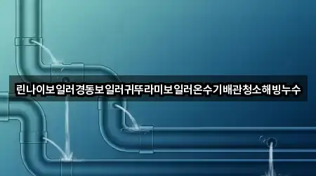 주소로 GO: 서울 도봉구 방학동 배관 청소 5곳