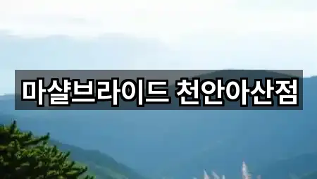 마샬브라이드 천안아산점