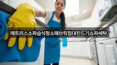 매트리스소파습식청소패브릭침대진드기쇼파세탁