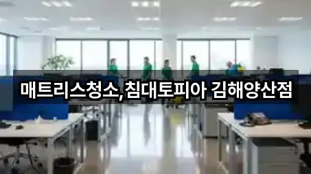 매트리스청소,침대토피아 김해양산점