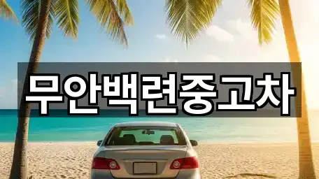 전라남도 무안읍 중고차 연락처만 모아보기 4건