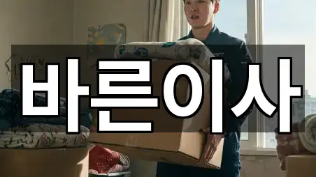 컬렉션 | 전북특별자치도 전주시 완산구 평화동2가 포장이사 5곳