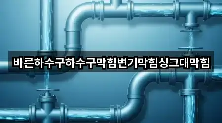 바른하수구하수구막힘변기막힘싱크대막힘