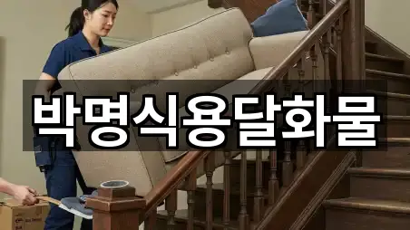 박명식용달화물