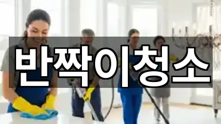 강원특별자치도 강릉 견소동 청소업체 5곳 위치만 보기