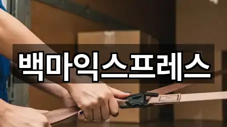 주소로 GO: 전북 전주시 덕진구 호성동1가 포장이사 5곳