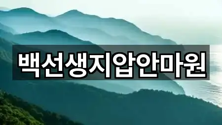 백선생지압안마원