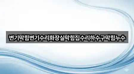 변기막힘변기수리화장실막힘집수리하수구막힘누수