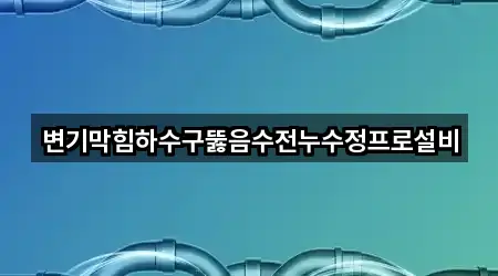 변기막힘하수구뚫음수전누수정프로설비