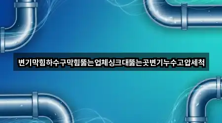변기막힘하수구막힘뚫는업체싱크대뚫는곳변기누수고압세척