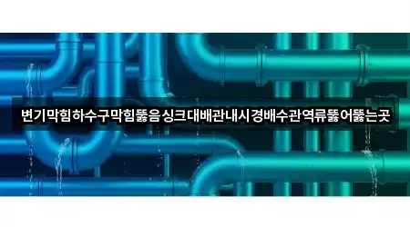 변기막힘하수구막힘뚫음싱크대배관내시경배수관역류뚫어뚫는곳