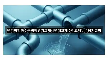 변기막힘하수구막힘변기교체세면대교체수전교체누수탐지설비