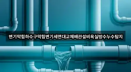 변기막힘하수구막힘변기세면대교체배관설비욕실방수누수탐지