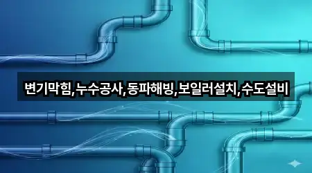 변기막힘,누수공사,동파해빙,보일러설치,수도설비