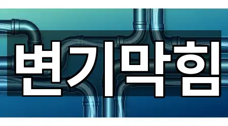 즉시 확인: 금천동 변기막힘 5곳