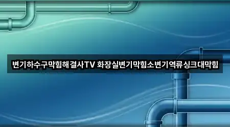 변기하수구막힘해결사TV 화장실변기막힘소변기역류싱크대막힘