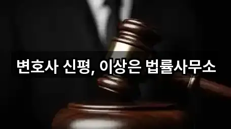 변호사 신평, 이상은 법률사무소