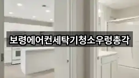 핵심만 보기: 충청남도 보령시 대천동 청소 5곳