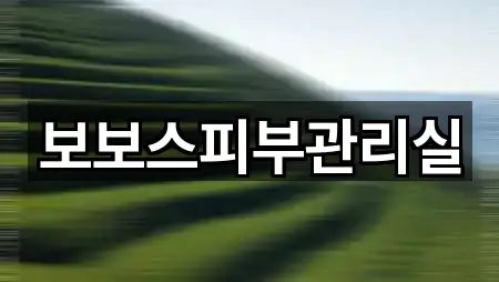 보보스피부관리실