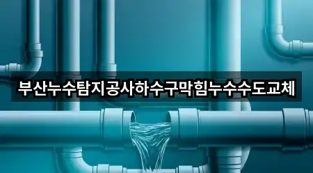 부산누수탐지공사하수구막힘누수수도교체