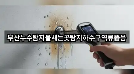 부산누수탐지물새는곳탐지하수구역류뚫음