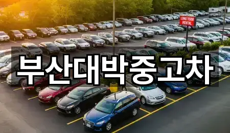 부산대박중고차