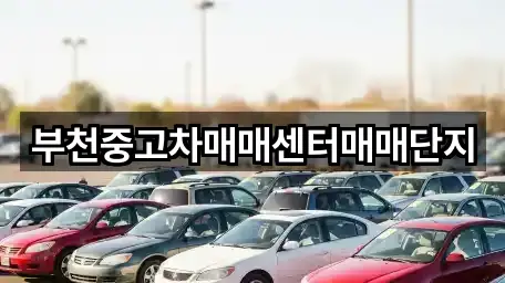 내동 중고차 지도 링크 5건
