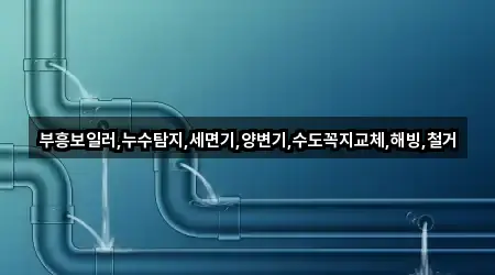 부흥보일러,누수탐지,세면기,양변기,수도꼭지교체,해빙,철거