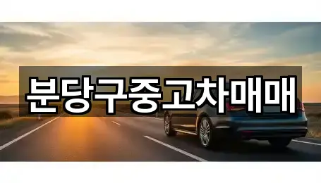 경기도 성남시 분당구 중고차 최신 업데이트 5곳