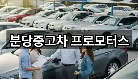 분당중고차 프로모터스
