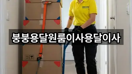 브리핑 | 성산구 신촌동 용달이사 5곳