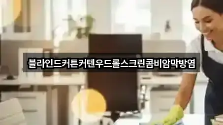 블라인드커튼커텐우드롤스크린콤비암막방염