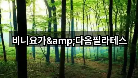 비니요가&다옴필라테스