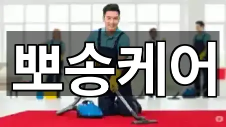 즉시 지도: 부산 좌천동 청소업체 5곳