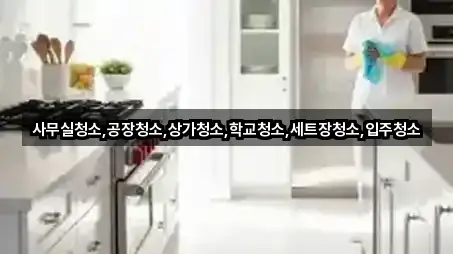 사무실청소,공장청소,상가청소,학교청소,세트장청소,입주청소