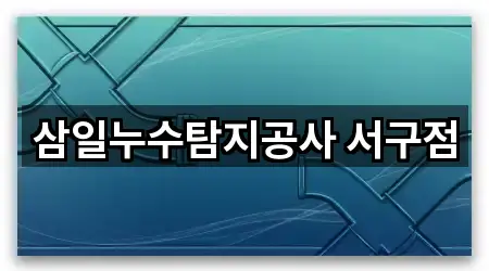 삼일누수탐지공사 서구점