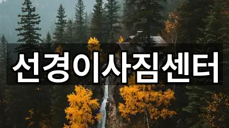 부산 영도구 신선동3가 이사 5곳 주소 체크