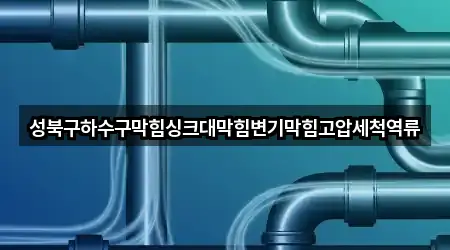 성북구하수구막힘싱크대막힘변기막힘고압세척역류