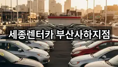 세종렌터카 부산사하지점
