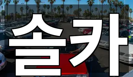 포커스: 서울특별시 성북구 삼선동4가 중고차 4곳