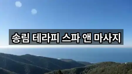 대구 관음동 마사지 네이버지도 5곳