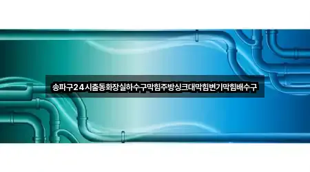 송파구 송파동 변기막힘 2곳 도로명 주소