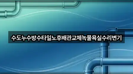 수도누수방수타일노후배관교체녹물욕실수리변기