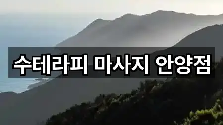 경기 안양시 만안구 마사지 네이버 지도 5곳